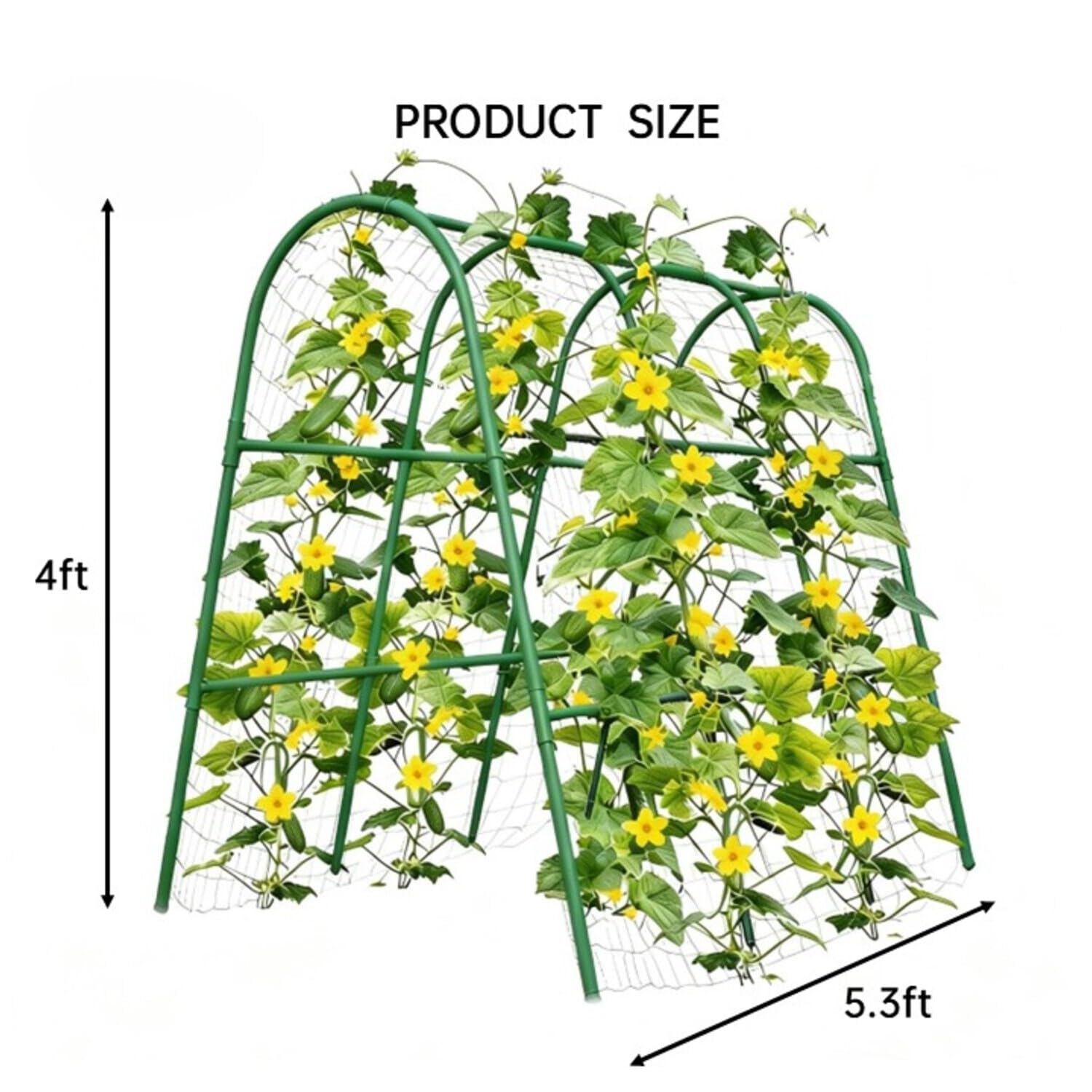 4x5.3피트 정원 아치형 트렐리스 (높은 화단용),  - Plants X 리뷰 및 가격